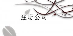 关于新商标法实施条例实施后的流程变动
